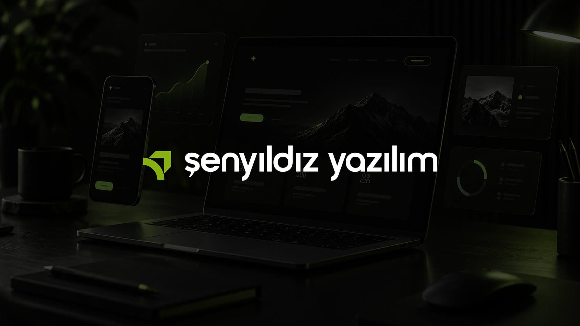 Piasis Bilgi Sistem Teknolojileri Web Tasarım proje ekran görüntüsü